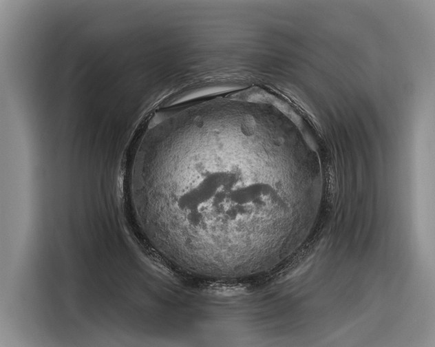 X0000116300491200912071251