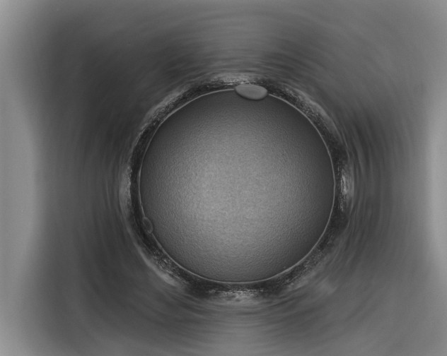 X0000116300492200912071251