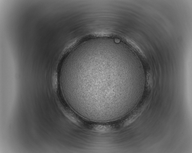 X0000116300494200912071251