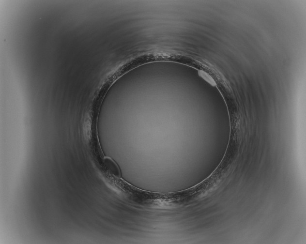 X0000116300496200912071251