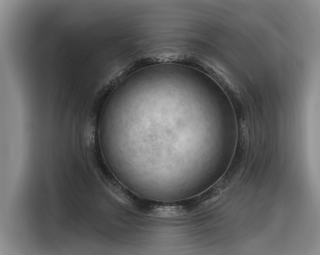 X0000116300499200912071251