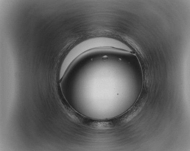 X0000116300501200912071251