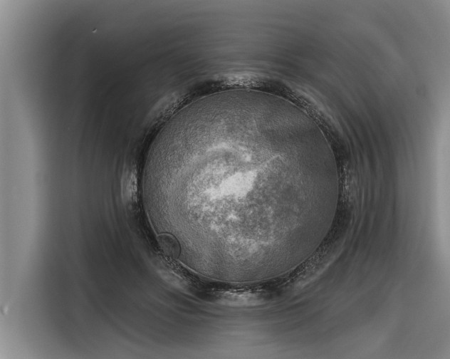 X0000116300502200912071251