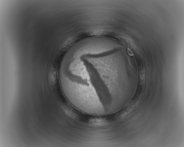 X0000116300503200912071251