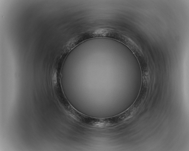 X0000116300504200912071251