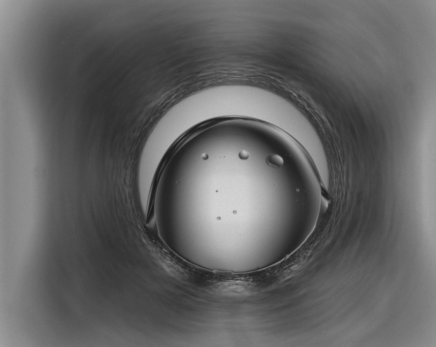 X0000116300505200912071251