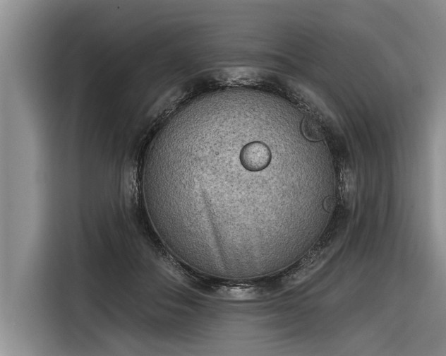 X0000116300506200912071251