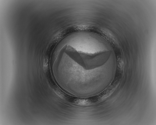 X0000116300507200912071251