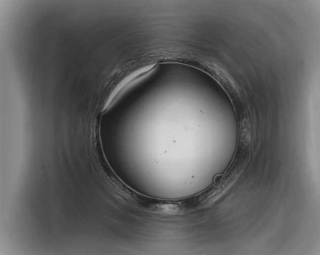 X0000116300509200912071251