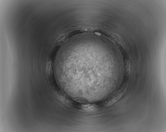 X0000116300511200912071251