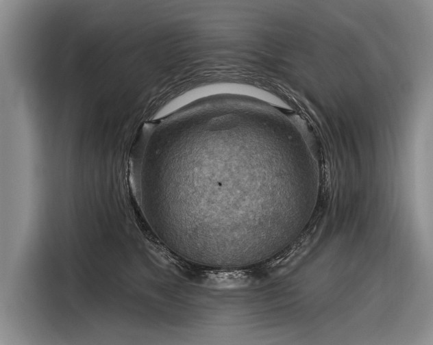 X0000116300517200912071251