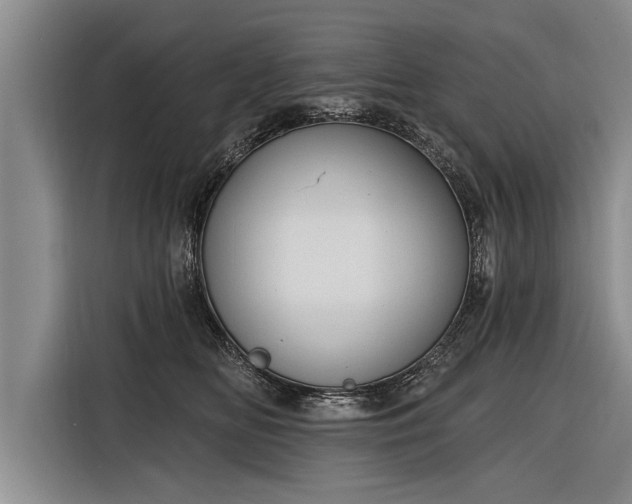 X0000116300518200912071251