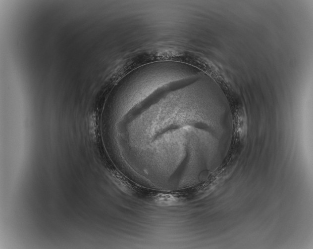 X0000116300519200912071251