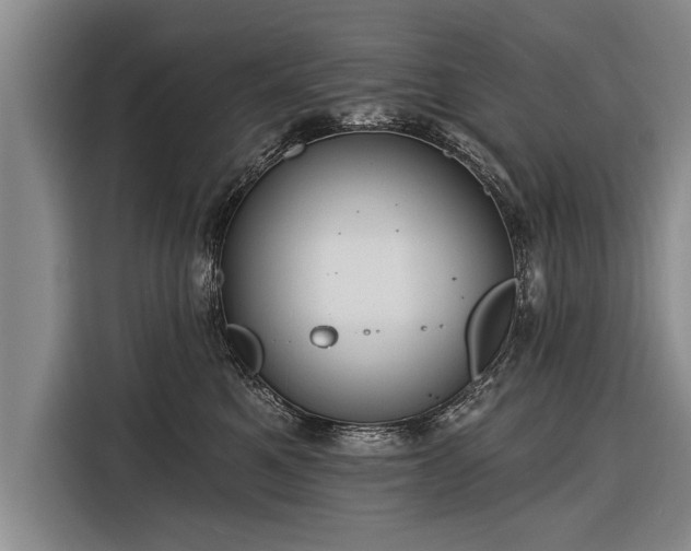 X0000116300521200912071251