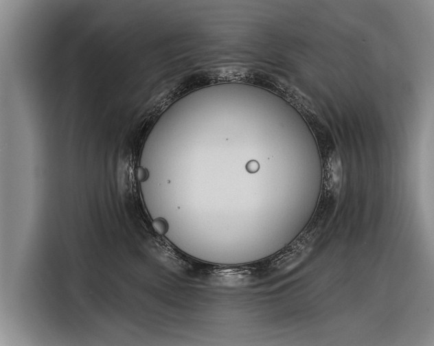 X0000116300522200912071251