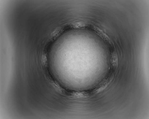 X0000116300523200912071251