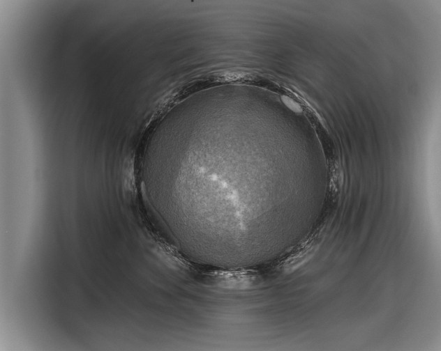 X0000116300524200912071251