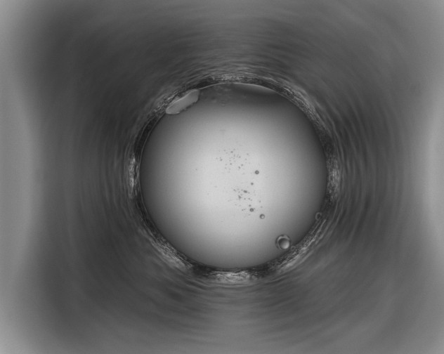 X0000116300525200912071251