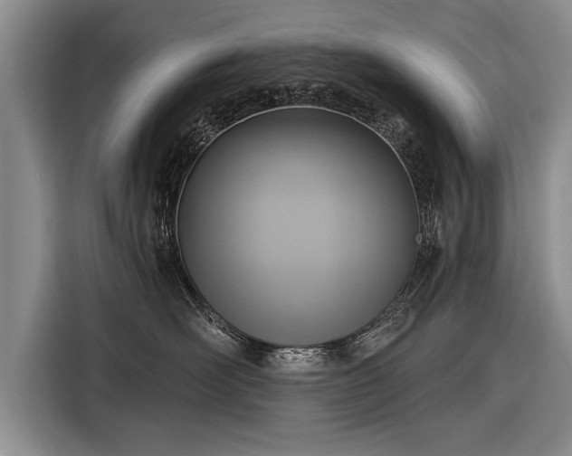 X0000116300526200912071251