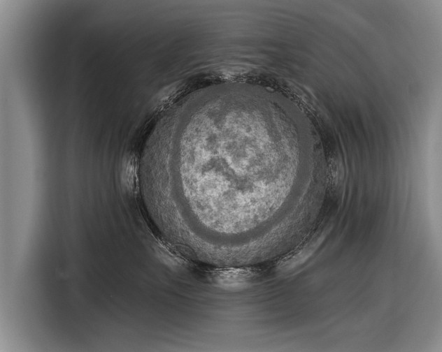 X0000116300527200912071251