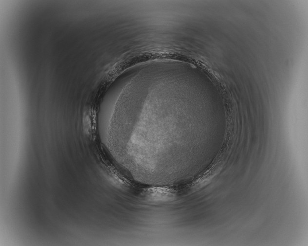 X0000116300528200912071251