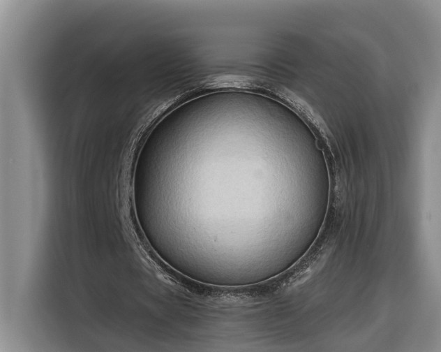 X0000116300529200912071250