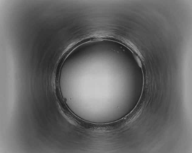 X0000116300530200912071250