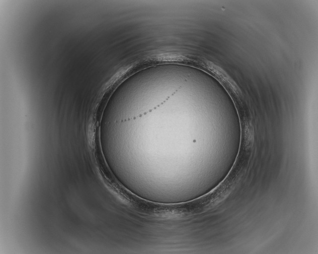 X0000116300533200912071250