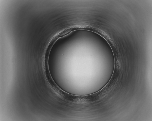 X0000116300535200912071250