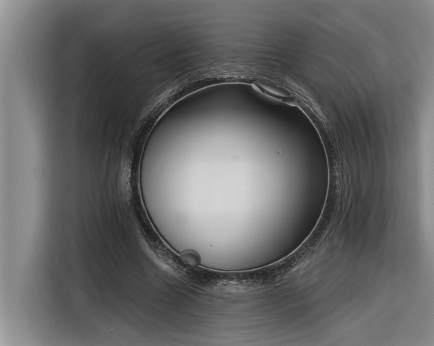 X0000116300538200912071250