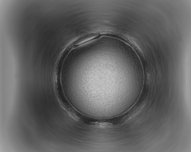 X0000116300539200912071250