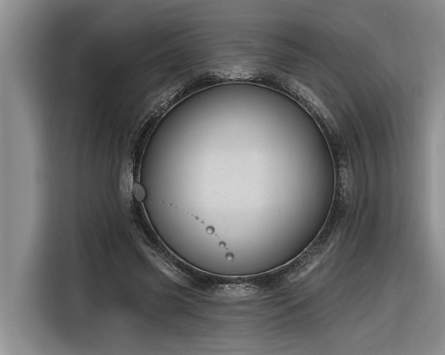 X0000116300541200912071250