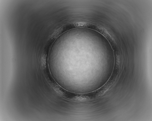 X0000116300545200912071250