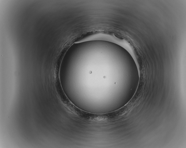 X0000116300546200912071250