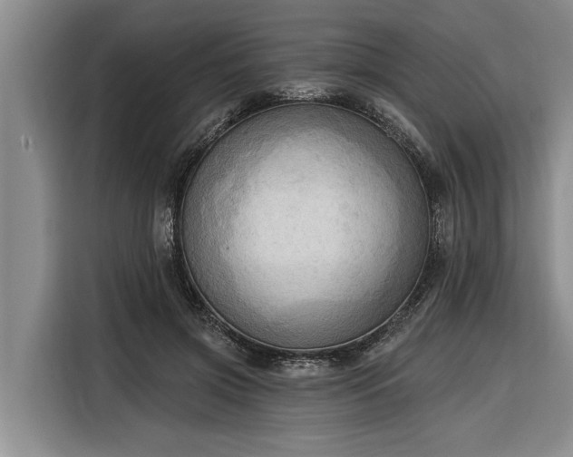 X0000116300549200912071250