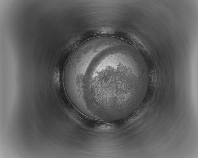 X0000116300550200912071250