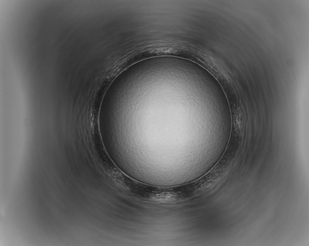 X0000116300551200912071250