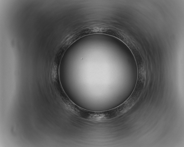 X0000116300554200912071250