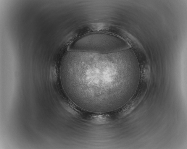 X0000116300558200912071251