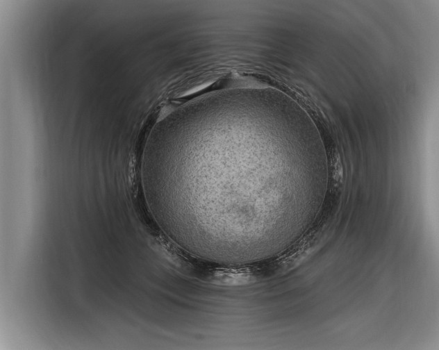 X0000116300559200912071251