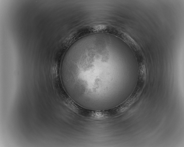 X0000116300565200912071251