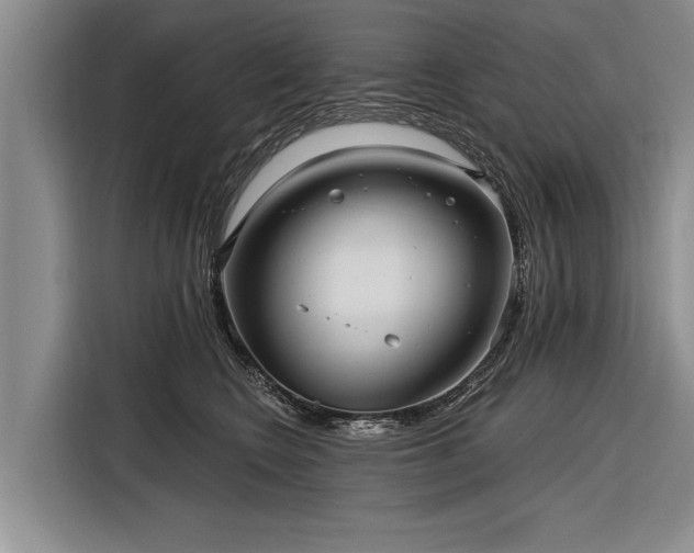 X0000116300566200912071251