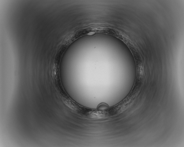 X0000116300567200912071251