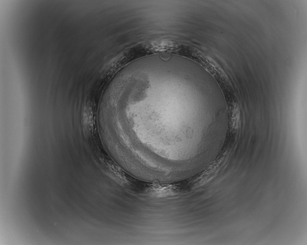 X0000116300569200912071251