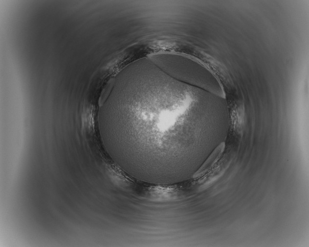 X0000116300570200912071251