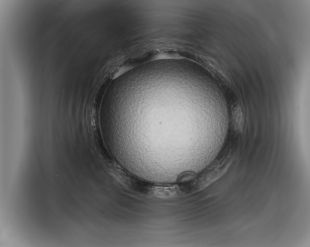 X0000116300571200912071251