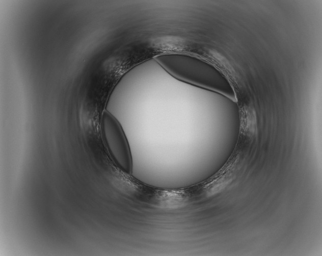 X0000116300573200912071251