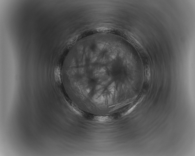 X0000116300575200912071251