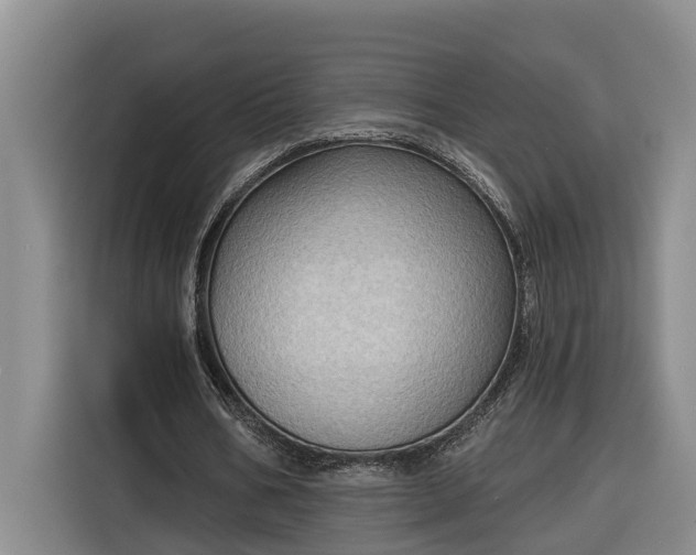 X0000116300578200912071250