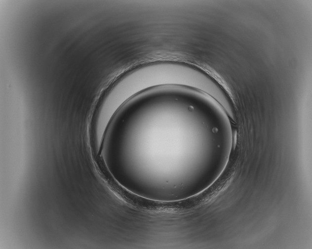 X0000116300581200912071250